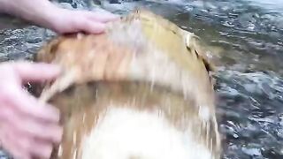 Smoked fish