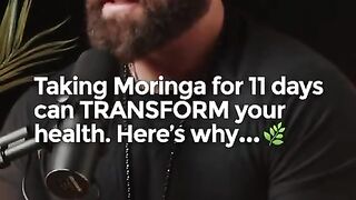 Look at this great magic og moringa plant, the link of buying In the box description
