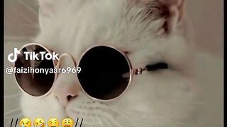 Hai koi mera jesa ????????