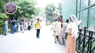 Abeera khan in zoo with funny boy