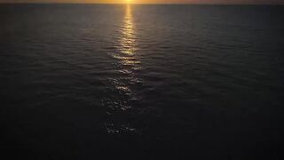 اخبار