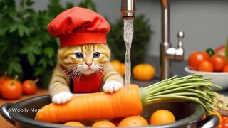 Kind Burger Chef | Cooking Cat | Cute Kitten Animation
