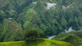 Papua New Guinea is a country in Oceania