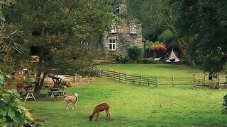 A picture postcard view of Rydal, Cumbria ????