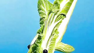 Vegetable animals and dolphin