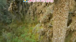 Qudrat ka Haseen Shah Kar .