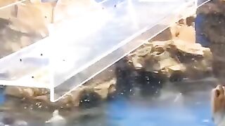 Good video