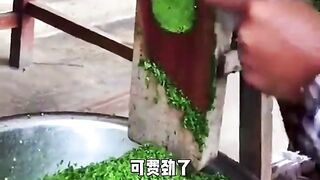 搞笑每一天
