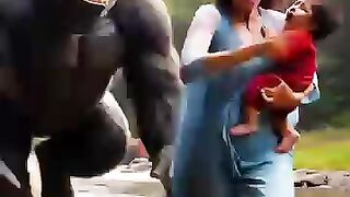 Video funny