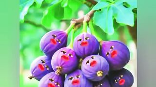 Alifun baa Taun saa