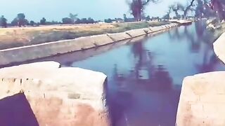 View ????????????
