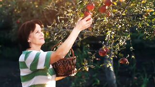 The benefits of eating Apple