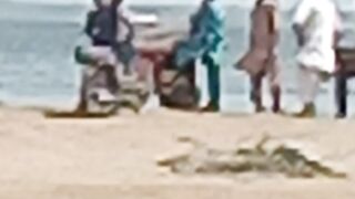 Vivo y17 Zoom test New short