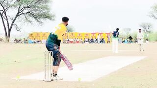 Cricket