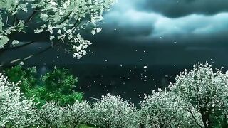 shots video virel shots video