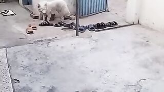 Funny