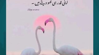 Islamic Learning #arabculture #quotes #islamicknowledge #hazratali #bestquotes #islamic #love