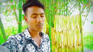 আপন মানুষ চিনতে পারলাম না
