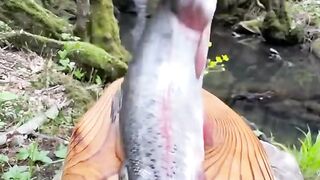 Cooking Trout With The Primitive Method