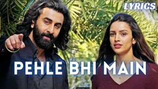 Pehle Bhi Main _ LYRICS _ ANIMAL SONG