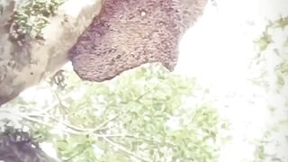 Funny video ????????