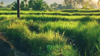 beautiful village