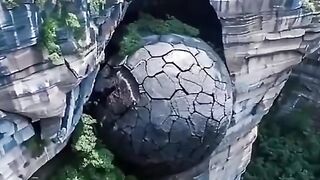 Amazon jungle