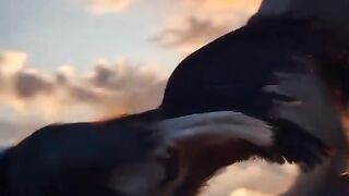Animal lovers