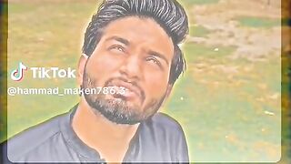 Funny videos