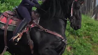 May you have a horse