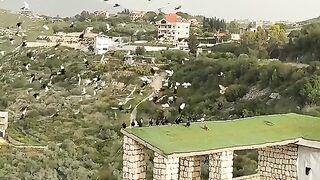 Beautiful pigeon on sky????