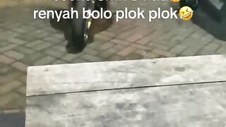 Link Smk 3 Pati Viral Video