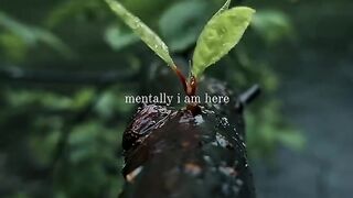 Mentally I am here