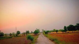 Nice movement