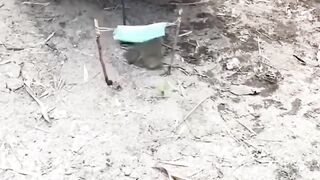 Funny ???????????????????? video