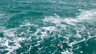 Ocean