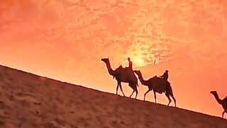 qurban_meri_jaan_mohammad_ke_naam_par