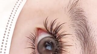 Beautiful Lashes