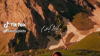Pak army