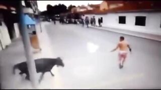 Cow boy