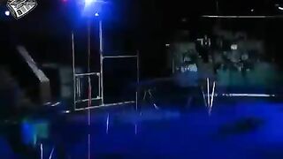 شاهد اسود السيرك تفتك بمدربها بسبب غلطة منه واصراره الحفاظ علي حياتهم