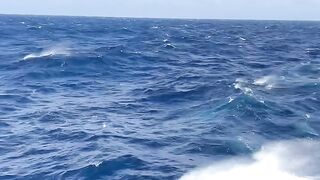 Waves