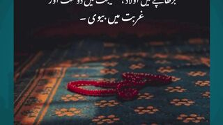 islamick nowledge #arabculture #quotes #hazratali #love #lovemuhammad  #islamicstudies #bestquotes