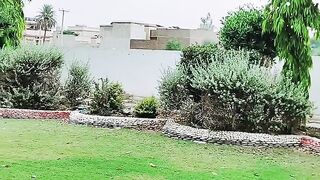Sajnr piyary