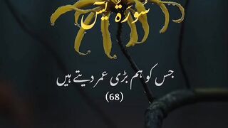 chodhri.mansaf????????islamic.media????