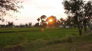 Village Life