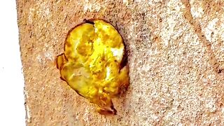 Funny video 9