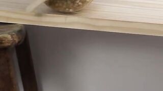 Tricks