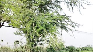 নোয়াখালী মুসাপুর ????????