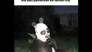 Kungfu panda